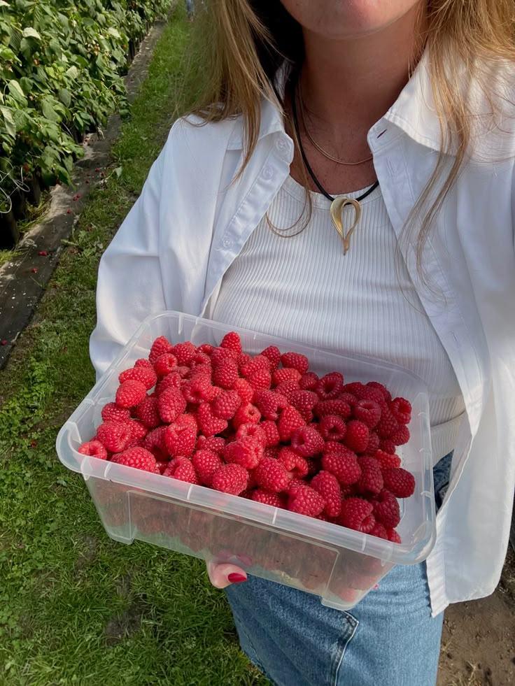 Orchard Gems – Juicy Assortment of Pure Delight
